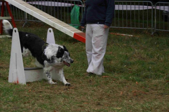 foire-haricots 2011-09-17et18
